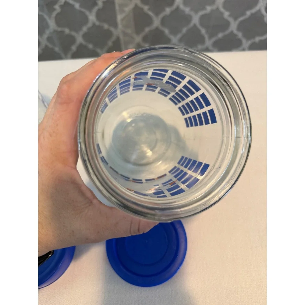 Vintage Country Geese Glass Canister Set 1L 3L Blue Checkered Jars with Lids